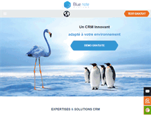 Tablet Screenshot of bluenote-systems.com